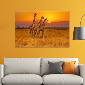 Bild av giraffer i ett vardagsrum
