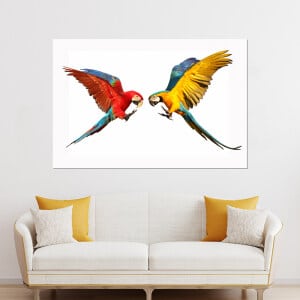 två papegojor som flyger mot varandra
