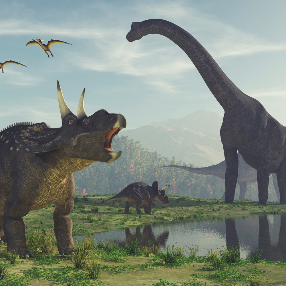3d dinosaurie bild