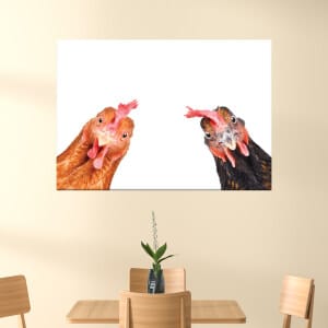 Bild 2 roliga kycklingar. God kvalitet, original, hänger på väggen ovanför matbordet i ett hus