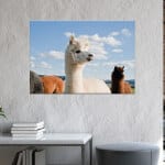 Målning av en vit lama. God kvalitet, original, hängde på en vägg ovanför ett bord i ett vardagsrum