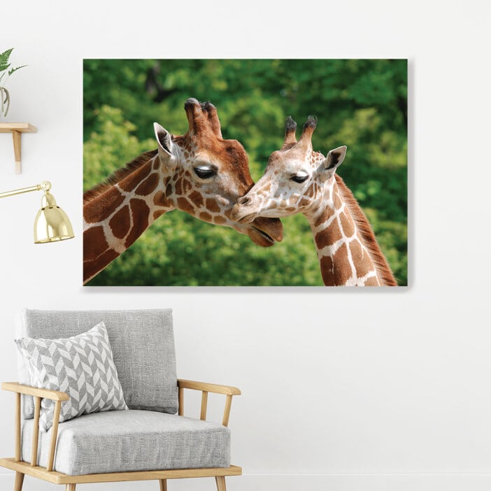 Mysig bild på två giraffer. God kvalitet, original, hängde på väggen ovanför en stol i ett vardagsrum