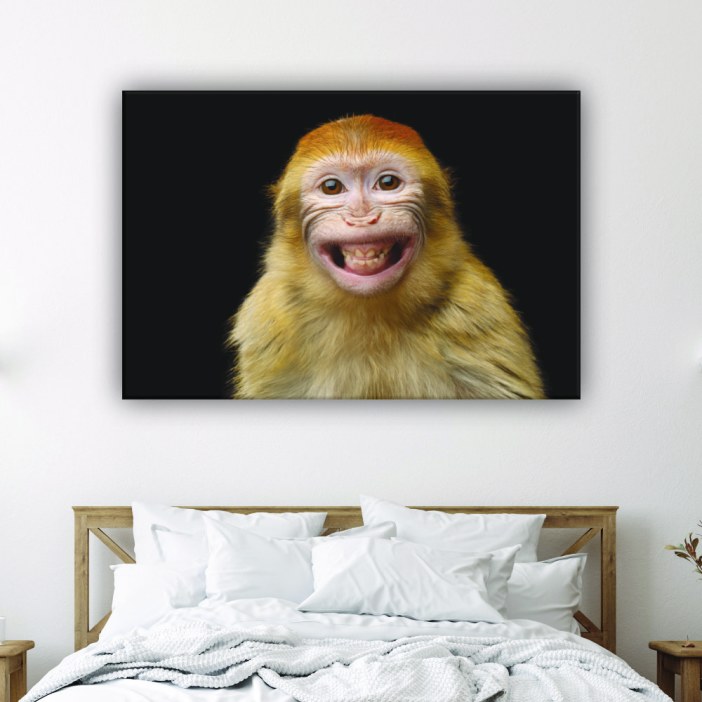 Bild på en leende apa. God kvalitet, original, hängde på en vägg ovanför en säng i ett hus